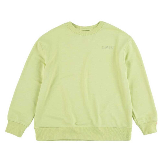LEVI´S ® KIDS Graphic Crewneck sweatshirt