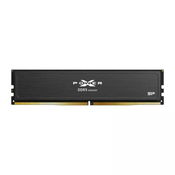 Память RAM Silicon Power SP064GXLWU560FDJ