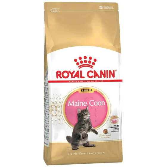 Корм для кошек Royal Canin Maine Coon Kitten Рис Птицы 2 кг