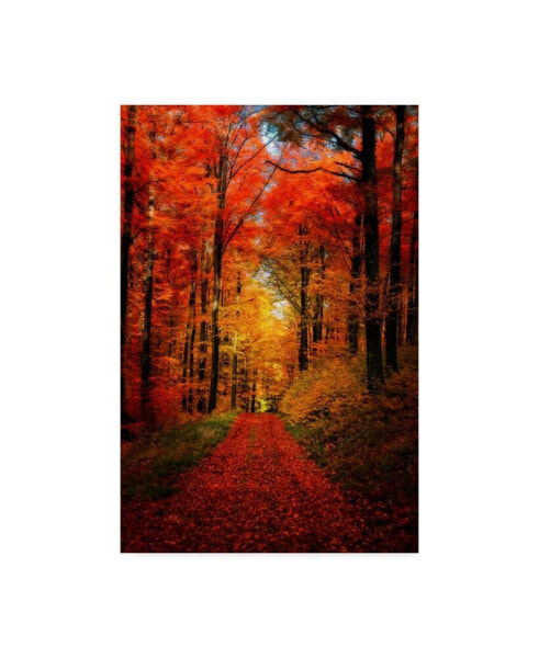 Philippe Sainte-Laudy Forest Garden Canvas Art - 30" x 47"