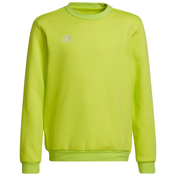 ADIDAS Entrada 22 Stadium SW sweatshirt