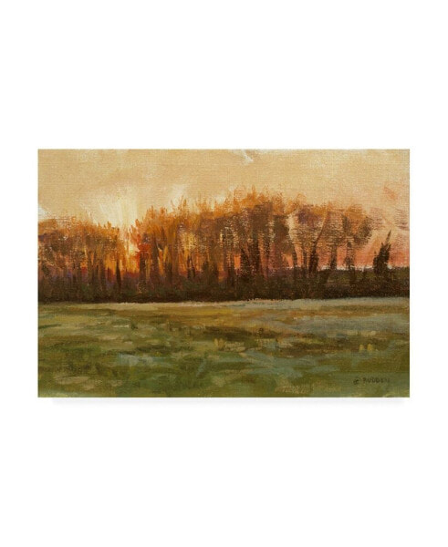 Michael Budden Sundown Flat Green Landscape Canvas Art - 20" x 25"