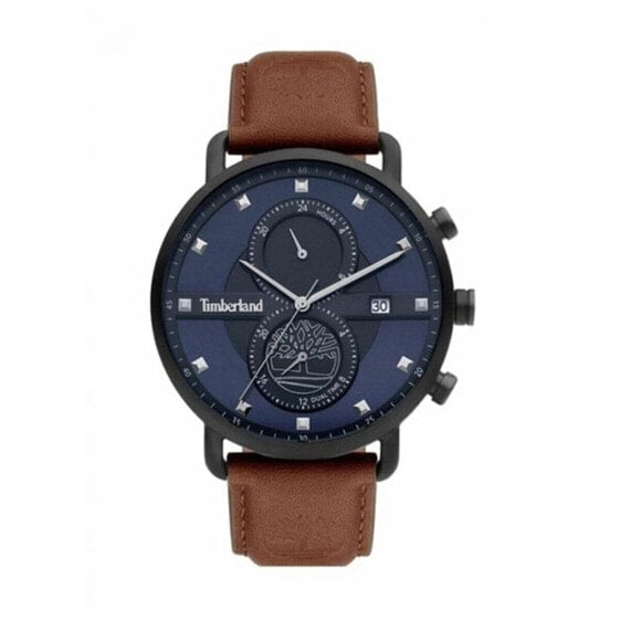 Мужские часы Timberland TDWGF2101003