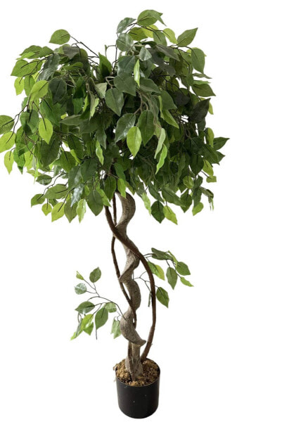 Kunstpflanze Ficus RE7036