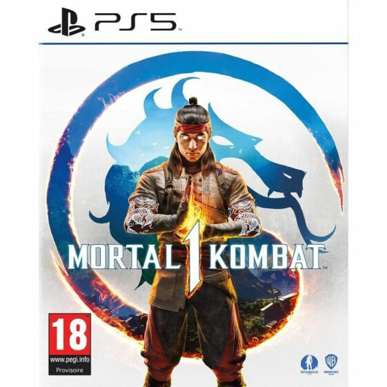 Видеоигра боевая PlayStation 5 Warner Games Mortal Kombat 1