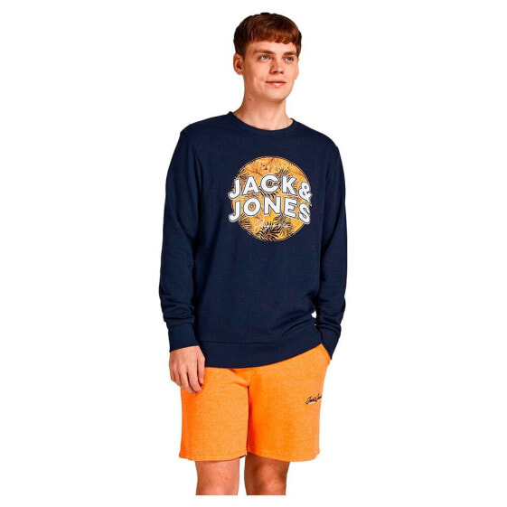 JACK & JONES Bloomer sweatshirt