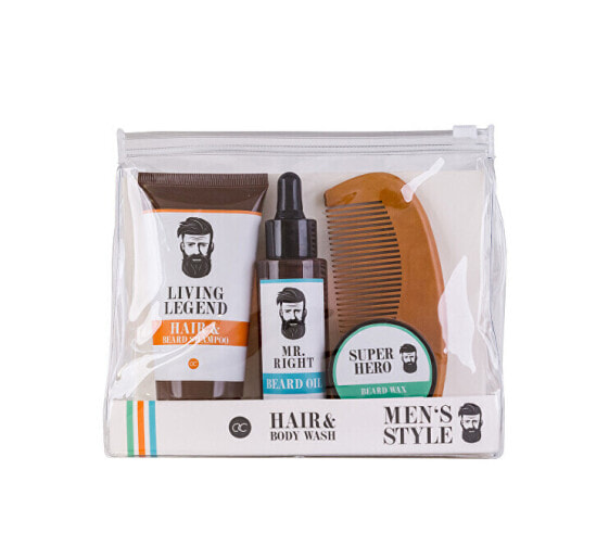 Men`s Style beard care gift set