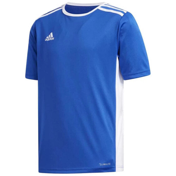 ADIDAS Entrada 18 short sleeve T-shirt