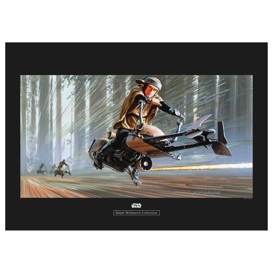 Картина Komar Star Wars Endor Speeder