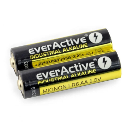AA (R6 LR6) Alkaline Battery EverActive - 2pcs.