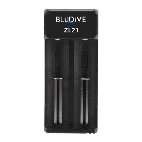Зарядное устройство BLUDIVE Lithium Multicharger Two Cells USB-C ZL21