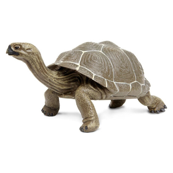 Фигурка черепахи SAFARI LTD Tortoise 2, Incredible Creatures®