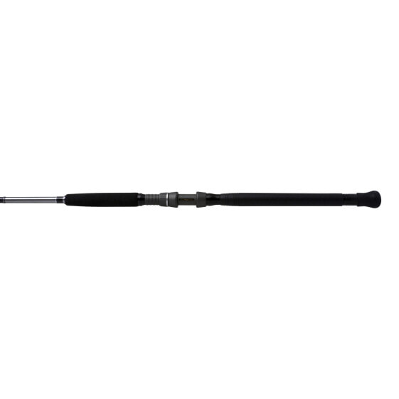 Shimano TEREZ BW SPIN SLICK BUTT, Saltwater, Spinning, 7'2", Extra Heavy, (TZ...