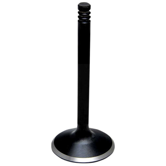 KIBBLEWHITE 90-9035 Intake Valve