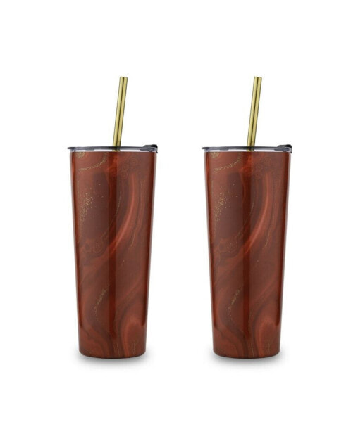 24 oz Insulated Straw Tumblers Set, 2 Piece