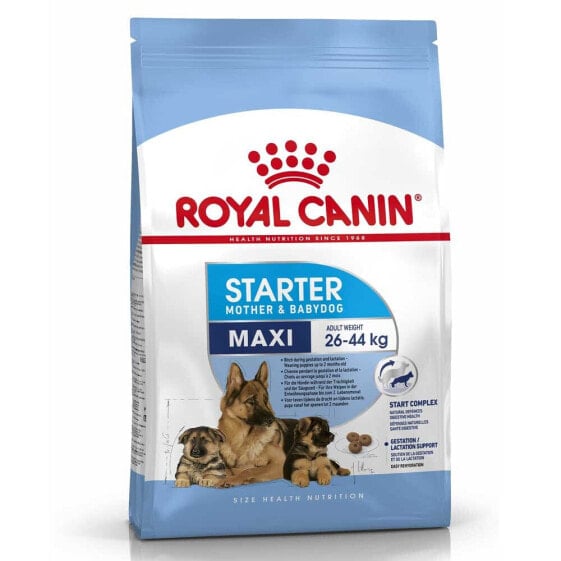 ROYAL CANIN Maxi Starter Poultry Rice 15kg Dog Food