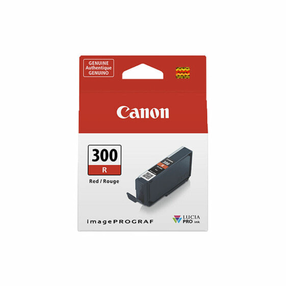 Картридж с оригинальными чернилами Canon 300R