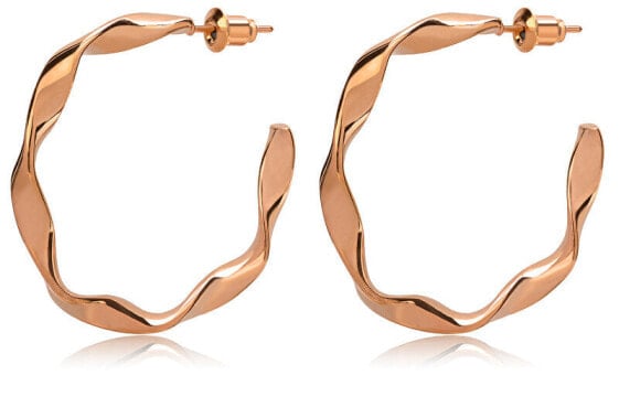 Fashion bronze steel earrings rings