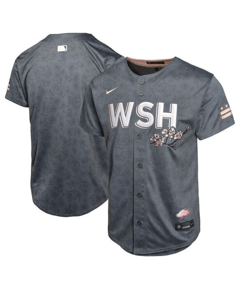 Nike Big Boys and Girls Charcoal Washington Nationals City Connect Limited Jersey