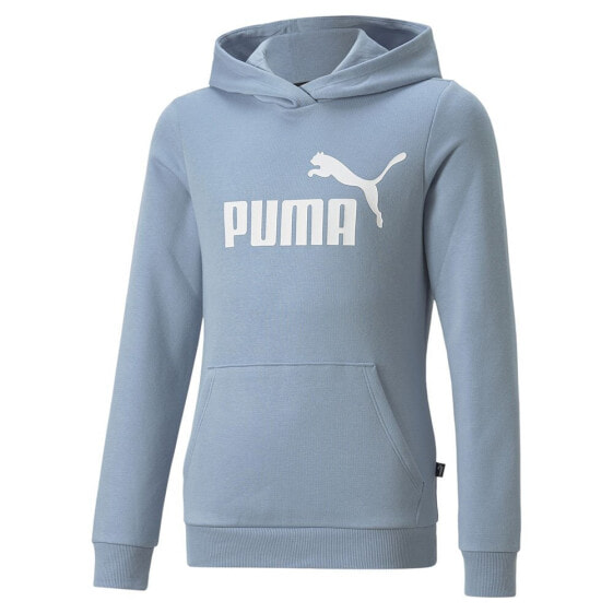 Толстовка спортивная PUMA Essentials Logo Fl