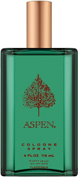 Coty Aspen For Men