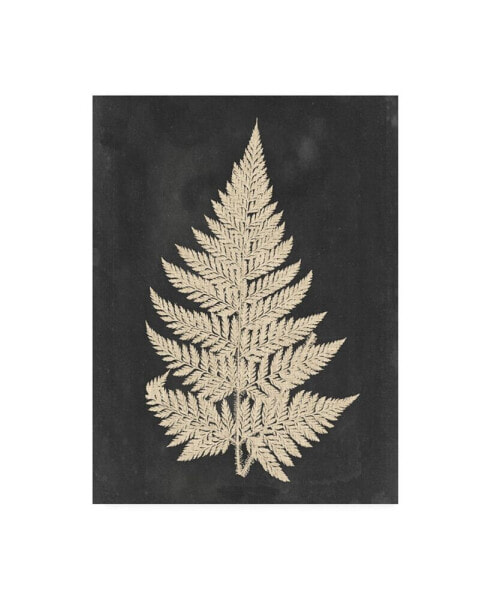 Vision Studio Linen Fern I Canvas Art - 20" x 25"