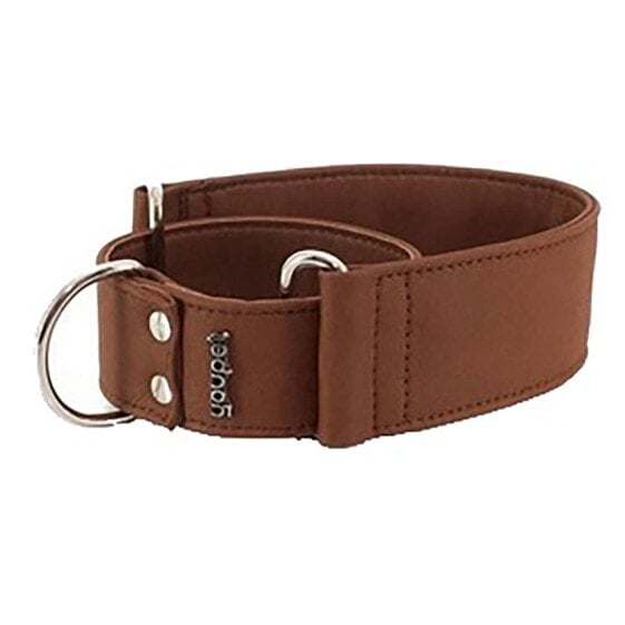 YOUPET Elements Marting Dog Collar