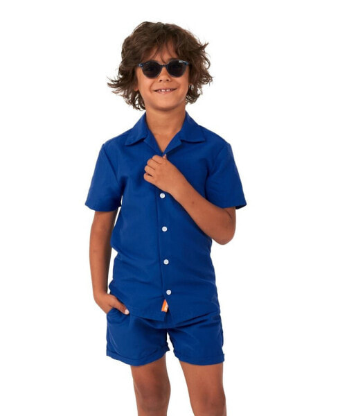 Little Boys 2 Pc Summer Shirt and Shorts Set