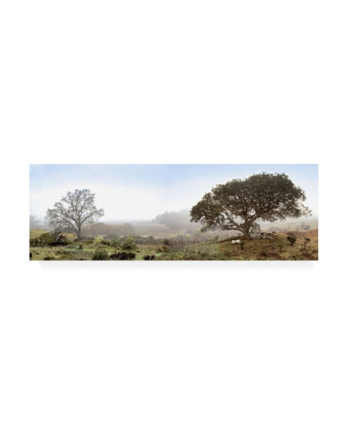 Alan Blaustein Sonoma Oak Trees No. 1 Canvas Art - 15.5" x 21"