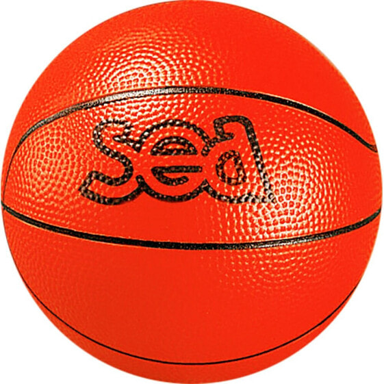 SEA Discovery Basketball Ball