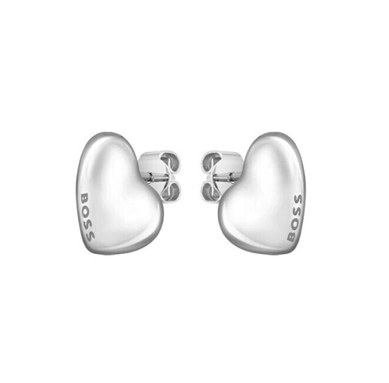 Decent steel earrings Honey 1580563