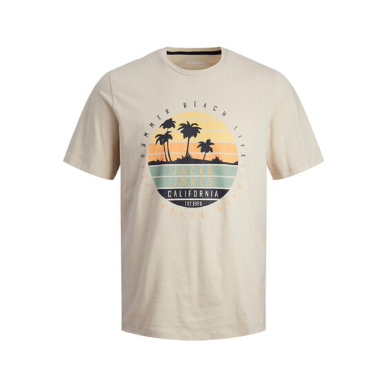 JACK & JONES Summer Vibe short sleeve T-shirt