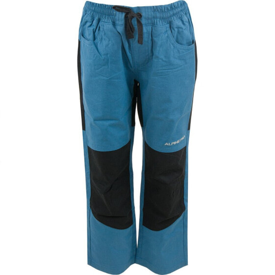 ALPINE PRO Derako pants