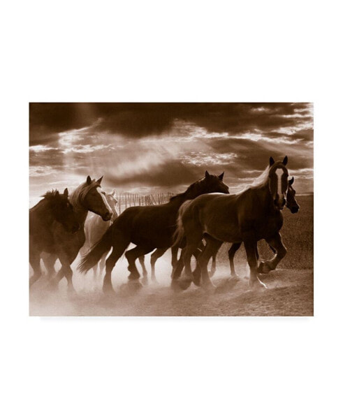Monte Nagler Running Horses and Sunbeams Rothbury Michigan Canvas Art - 37" x 49"
