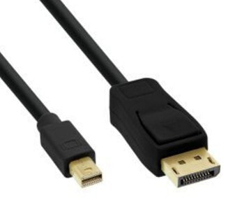 InLine Mini DisplayPort to DisplayPort Cable black 2m