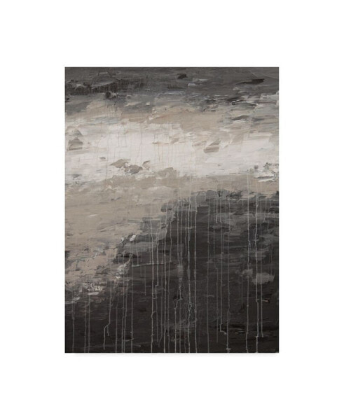 Картина холст масляная Trademark Global hilary Winfield 'Lithosphere Gray Paint' - 47" x 35" x 2"