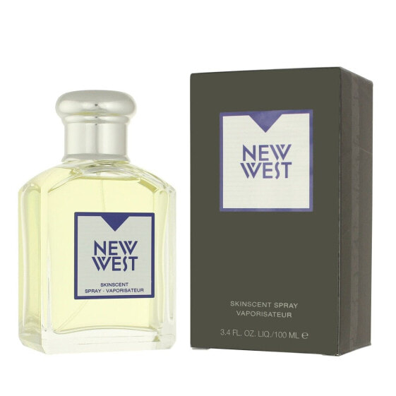 Мужская парфюмерия Aramis EDT New West 100 ml