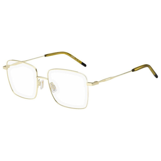 HUGO HG-1217-AOZ Glasses