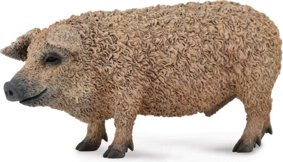 Figurka Collecta Świnia Mangalica (004-88674)