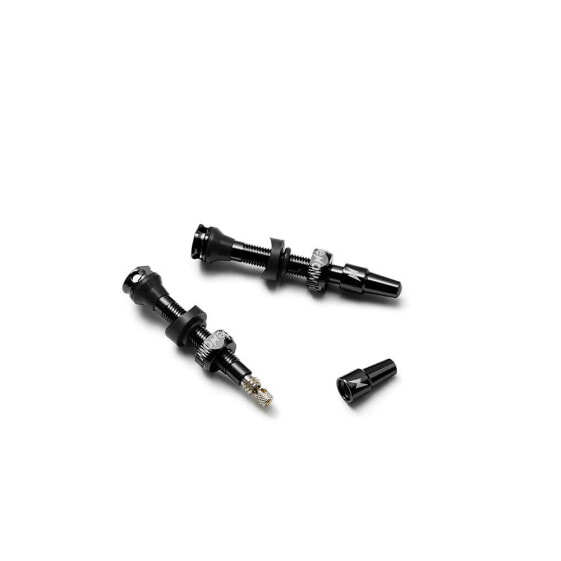 RIDENOW FV Presta tubeless valves 2 units