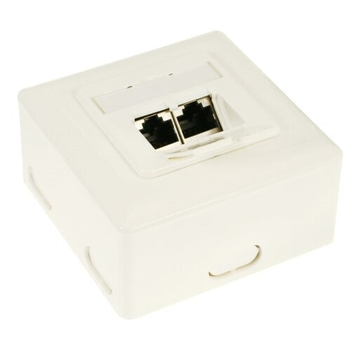 InLine Cat.6 Wall Outlet Box surface or flush mount 2x RJ45 horizontal