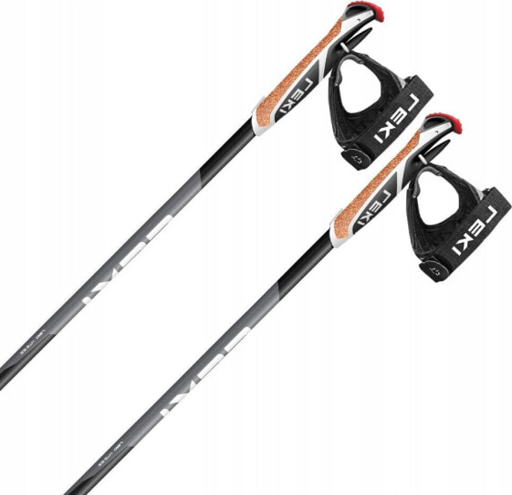 Leki LE KIJ XTA 5.5 black 160