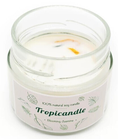 Tropicandle Blooming Jasmine Scented Candle  Ароматическая свеча с ароматом жасмина