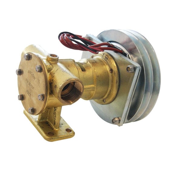 ANCOR 28-96l/min Self Priming Elastic Impeller Pump