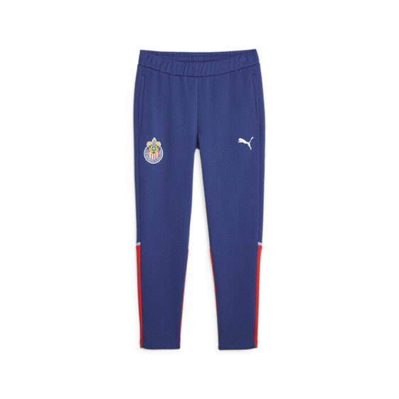 Puma Chg Soccer Pants Mens Blue Casual Athletic Bottoms 77363006