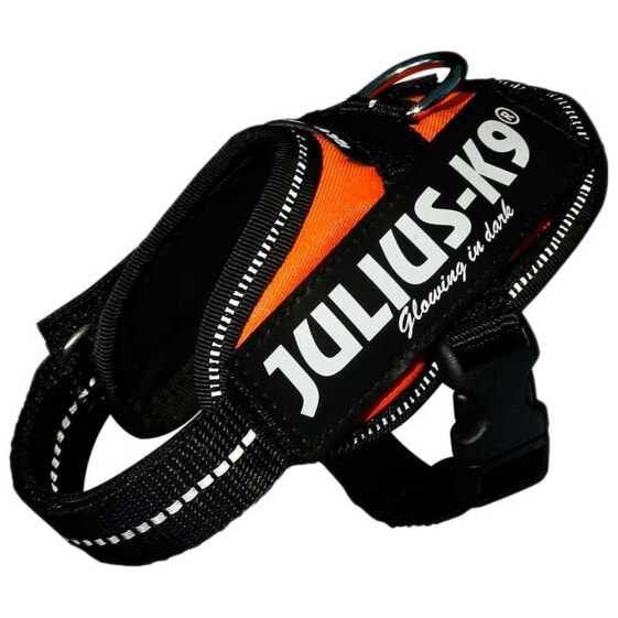 JULIUS K-9 IDC® Power Harness