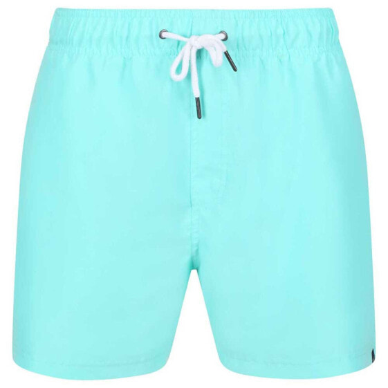 REGATTA Mawson III Swimming Shorts