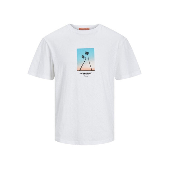 JACK & JONES Aruba Small Photo short sleeve T-shirt