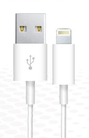 Synergy 21 S21-I-00178 - 1.17 m - Lightning - USB A - Male - Male - White