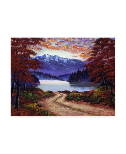 David Lloyd Glover Road to Green Lake Canvas Art - 20" x 25"
